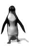 java resources